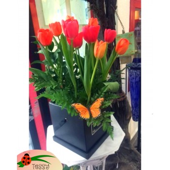 Caja vintage con diez tulipanes