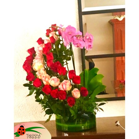 36 rosas y maceta de orquídea