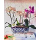 Jardinera de Talavera con 6 varas de orquídea.