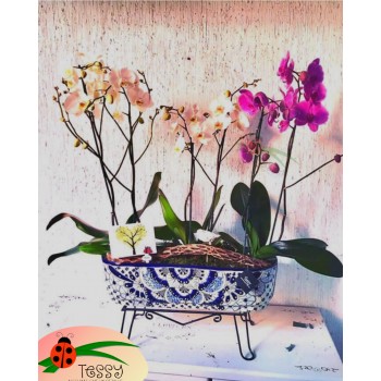Jardinera de Talavera con 6 varas de orquídea.