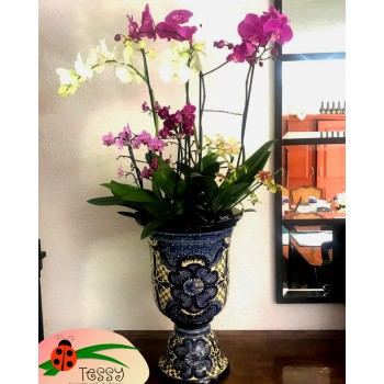 Copa Reina de Talavera con 4 varas grandes de orquídea y 4 varas miniorquidea