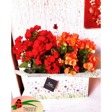 Jardinera base de madera decorada con begonias francesa o flor según temporada