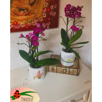 Bases vintage con mini orquídea