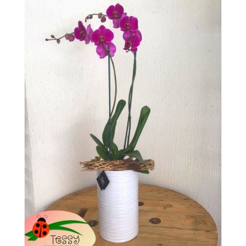 Orquídea doble base vintage