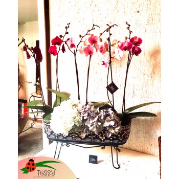 Jardinera de Talavera sobre herrería, 6 varas de orquídea y Hortensias artificiales