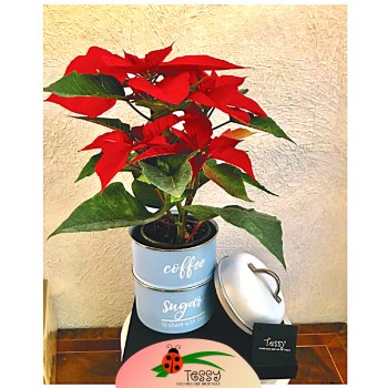 Bote de aluminio para café y azúcar